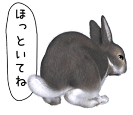 Expressive rabbit sticker2 sticker #8359911
