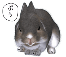 Expressive rabbit sticker2 sticker #8359912