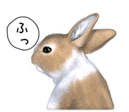 Expressive rabbit sticker2 sticker #8359915