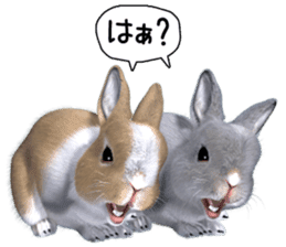 Expressive rabbit sticker2 sticker #8359918