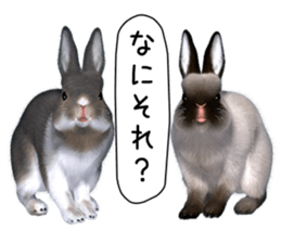 Expressive rabbit sticker2 sticker #8359919