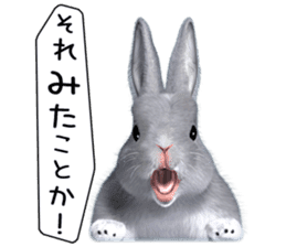 Expressive rabbit sticker2 sticker #8359920