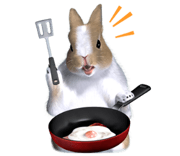 Expressive rabbit sticker2 sticker #8359922