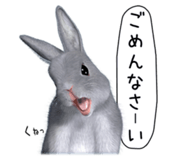 Expressive rabbit sticker2 sticker #8359923
