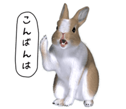 Expressive rabbit sticker2 sticker #8359931