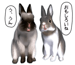 Expressive rabbit sticker2 sticker #8359934
