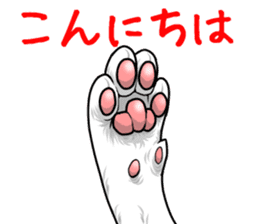 Cat paw sticker #8362546
