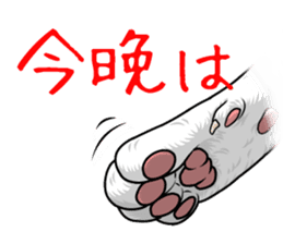 Cat paw sticker #8362550