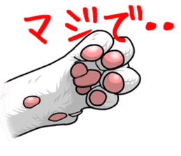 Cat paw sticker #8362573