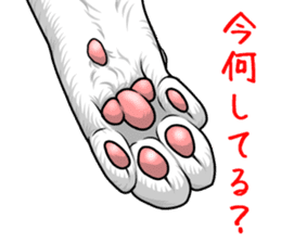 Cat paw sticker #8362578