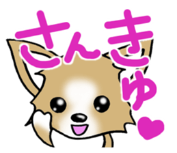 Chihuahua's Sticker!4 sticker #8364300