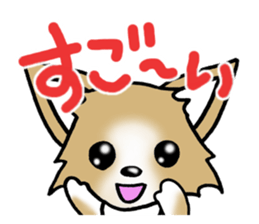 Chihuahua's Sticker!4 sticker #8364306