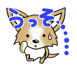Chihuahua's Sticker!4 sticker #8364307