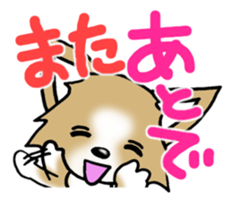 Chihuahua's Sticker!4 sticker #8364314
