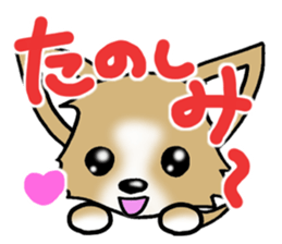 Chihuahua's Sticker!4 sticker #8364315