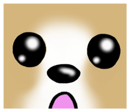 Chihuahua's Sticker!4 sticker #8364316