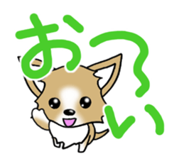 Chihuahua's Sticker!4 sticker #8364317