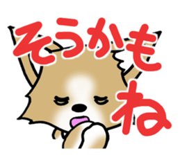 Chihuahua's Sticker!4 sticker #8364318