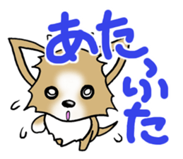 Chihuahua's Sticker!4 sticker #8364321