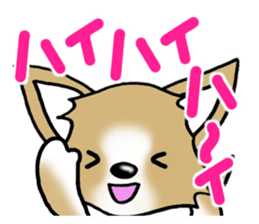 Chihuahua's Sticker!4 sticker #8364325