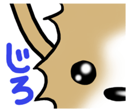 Chihuahua's Sticker!4 sticker #8364326