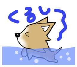 Chihuahua's Sticker!4 sticker #8364327