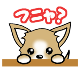 Chihuahua's Sticker!4 sticker #8364330