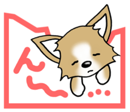 Chihuahua's Sticker!4 sticker #8364333