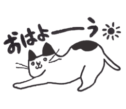 my cat (black&white) sticker #8364741