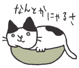 my cat (black&white) sticker #8364754