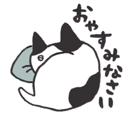 my cat (black&white) sticker #8364760