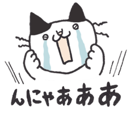 my cat (black&white) sticker #8364764