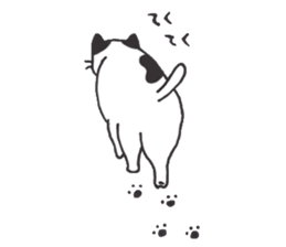 my cat (black&white) sticker #8364777