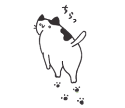 my cat (black&white) sticker #8364778