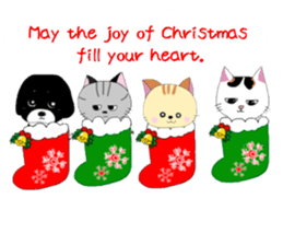 Kuro's daily life 10 English version sticker #8364949