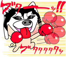 3 pigs 4 sticker #8365000