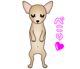 The Chihuahua stickers sticker #8365551