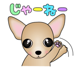 The Chihuahua stickers sticker #8365563