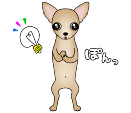 The Chihuahua stickers sticker #8365564