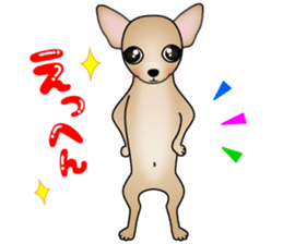 The Chihuahua stickers sticker #8365565