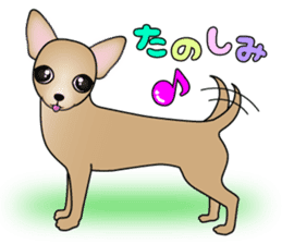 The Chihuahua stickers sticker #8365566