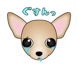 The Chihuahua stickers sticker #8365569