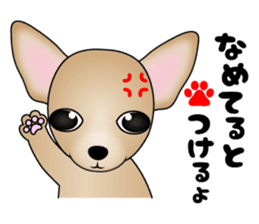 The Chihuahua stickers sticker #8365574