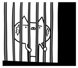 STRAIGHT RABBIT AND CAT REACTION sticker #8365996