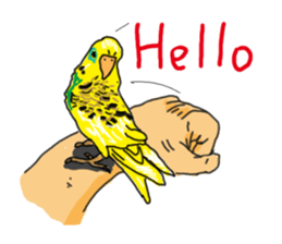 Joey's diary sticker #8366975