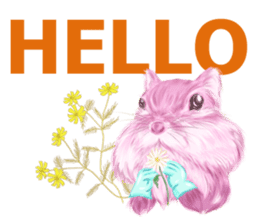 Pink Squirrel Qbe sticker #8368100