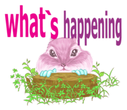 Pink Squirrel Qbe sticker #8368139