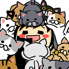 British Shorthair koume and Luna