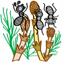 Ants!<winter&spring!> sticker #8368619