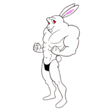 Macho Rabbit 2 sticker #8369590